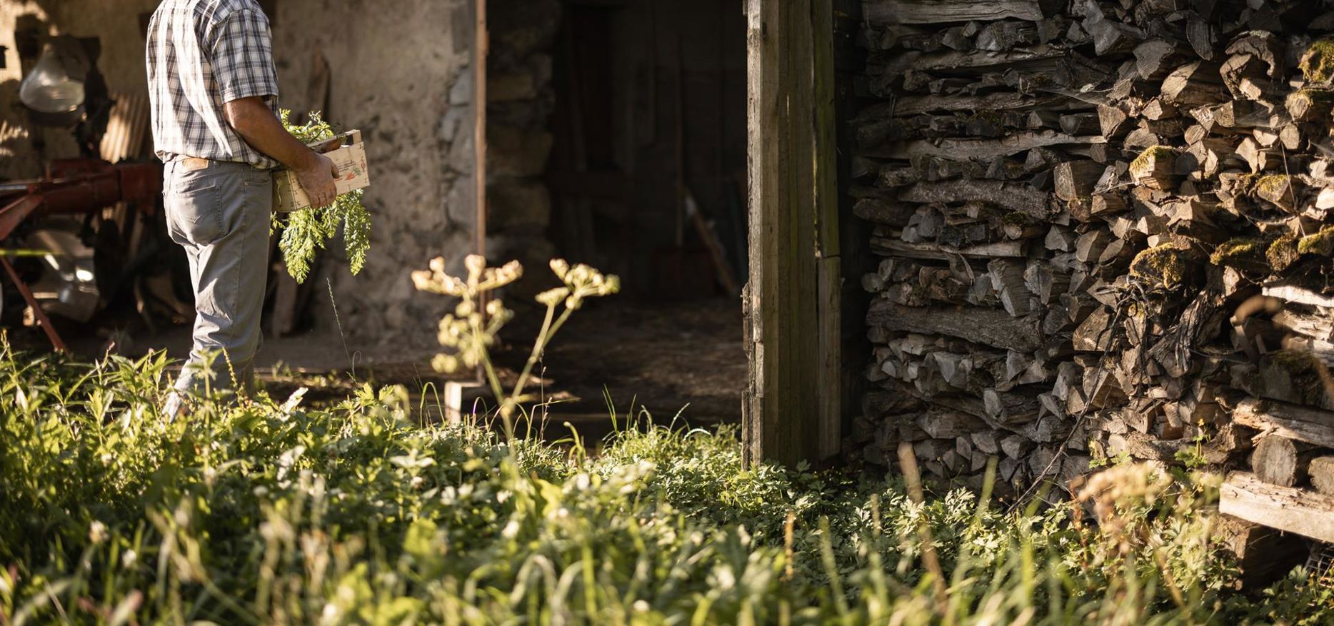 Ein Mann steht zwischen blühenden Apfelbäumen in einem sonnigen, ländlichen Garten.