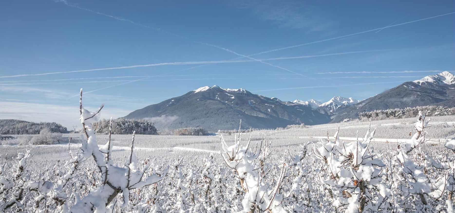 Verschneite Landschaft