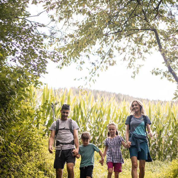 A family with two children is hiking